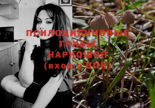 стафф Саяногорск