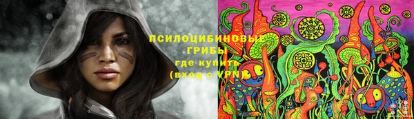стафф Саяногорск