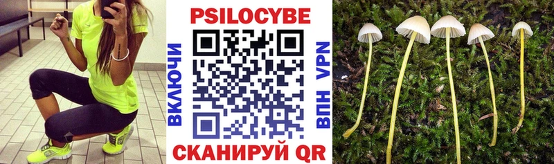 Псилоцибиновые грибы ЛСД  Купить  Костерёво 